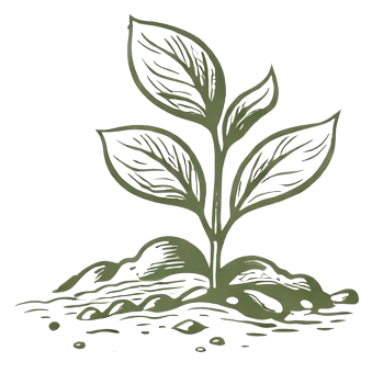 Plants & Flowers